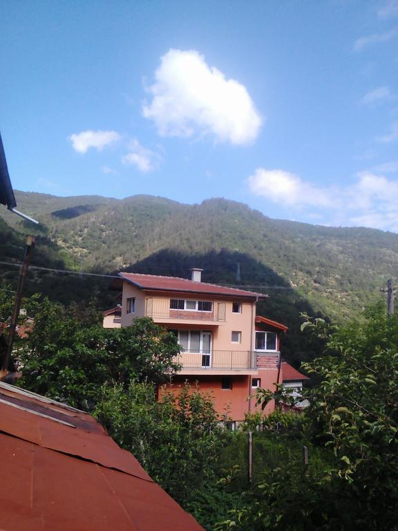 Vila Bachkovo Exterior foto